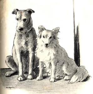 1937 Eleanor Youmans & Will Rannels, Waif, Abb. 06