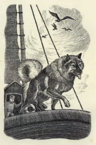 1951 Eleanor Tompkins, Hals The Keeshond, Abb. 02