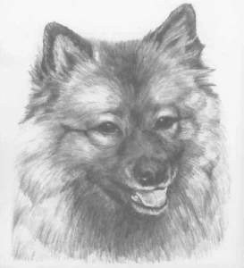1973 Fenna Buter: de keeshond 06