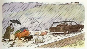 1978 Hans Traxler: Fünf Hunde erben 1 Million 02