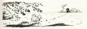 1978 Hans Traxler: Fünf Hunde erben 1 Million 07