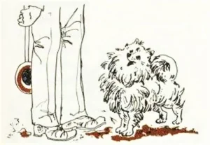 1980 Friedrich Feld: Kleiner Spitz, ganz groß 04