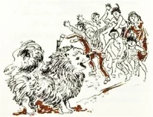 1980 Friedrich Feld: Kleiner Spitz, ganz groß 06
