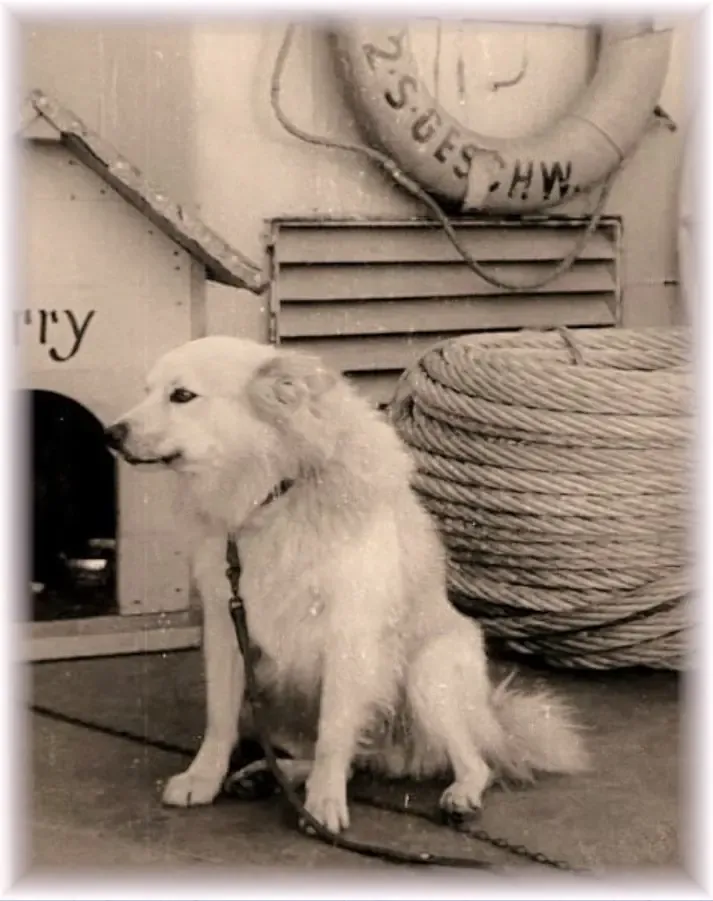 Bordhund Berry, Tender ,,Elbe”, 1965