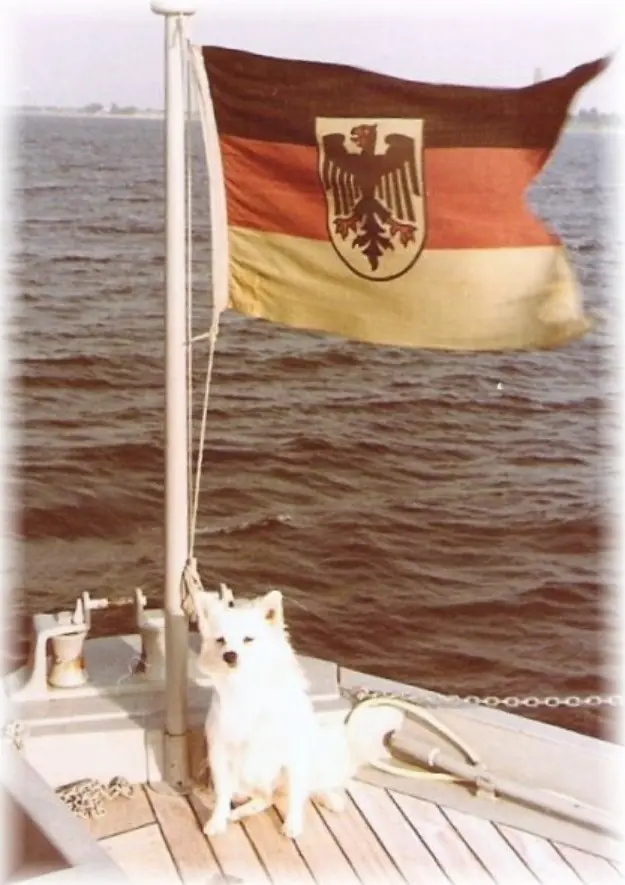 Bordhund-Conny-Schneller-Minensucher-Orion-1963