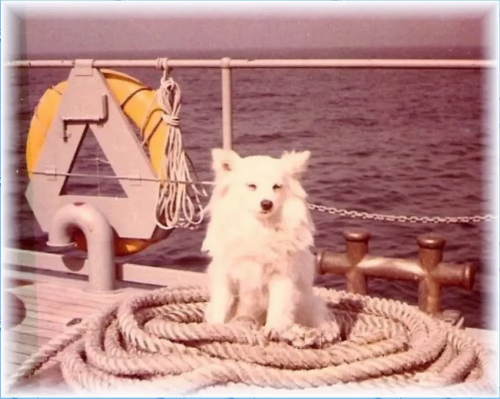 Bordhund-Conny-Schneller-Minensucher-Orion-1963