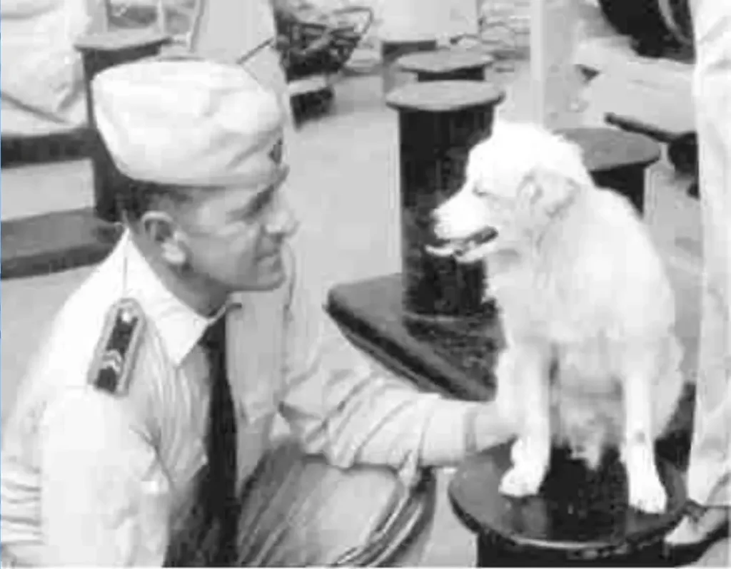 Bordhund Pisco (Gefreiter), Schulfregatte ,,Hipper”, 1962