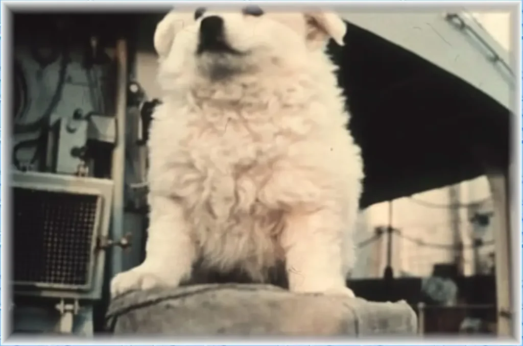 Bordhund Pisco (Gefreiter), Schulfregatte ,,Hipper”, nach 1963