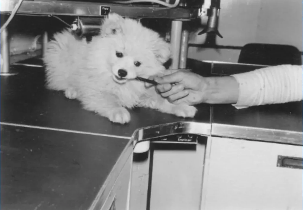 Bordhund-Puschkin-Landungsboot-Salamander-1962-03