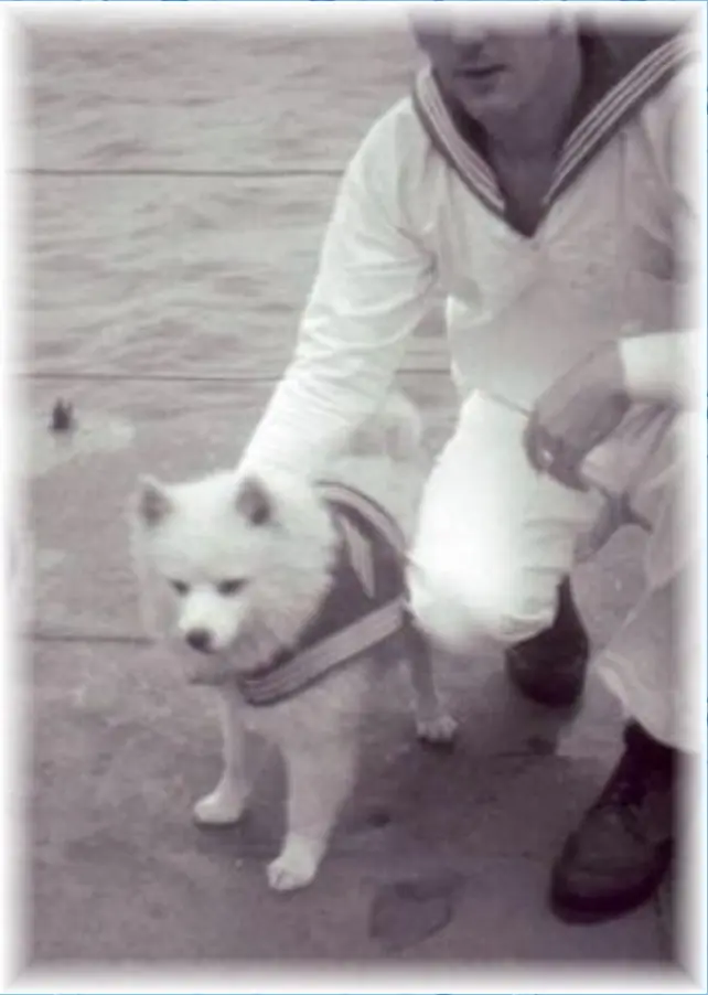 Bordhund-Puschkin-Landunngsboot-Krokodil-1970-03