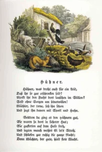 "Hühner"