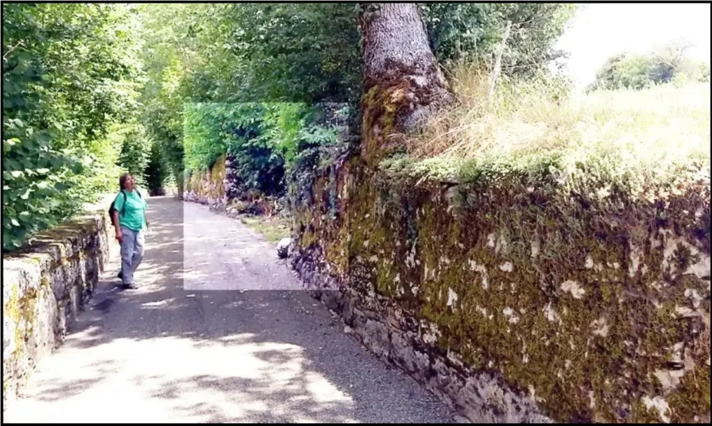 Aktuelles Foto