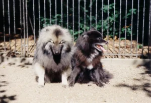 Susanne und Otto - ein spitzenmäßiges Team!