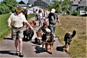 …und ziiiiiiiiieht!!!