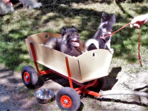 Der greise Otto in seinem ,,Ottomobil''