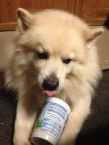 Auch Buttermilch schmeckt echt klasse!