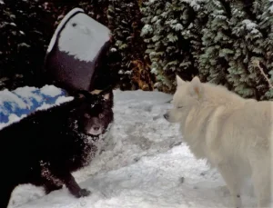 Gilla und Anton im Schnee
