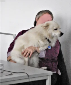 Hundeschule mal anders