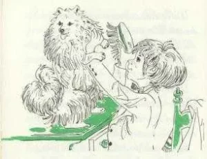 1980 Friedrich Feld: Kleiner Spitz, ganz groß 11