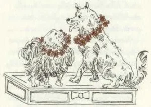 1980 Friedrich Feld: Kleiner Spitz, ganz groß 12